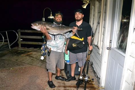 A Beginner's Guide to Deep Sea Fishing: Reeling in Big Catches.